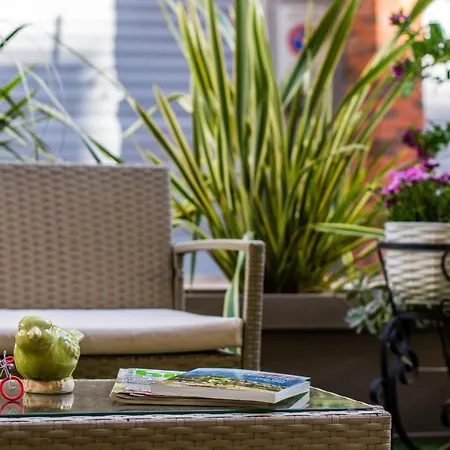 Isophylla Basic * Finale Ligure