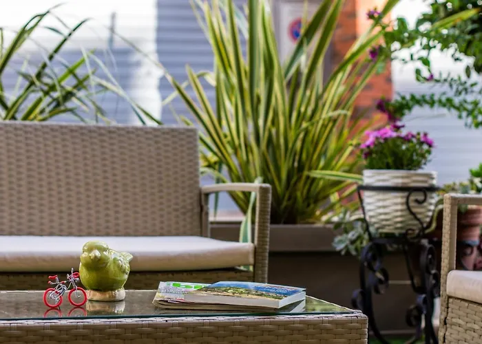 Isophylla Basic * Finale Ligure