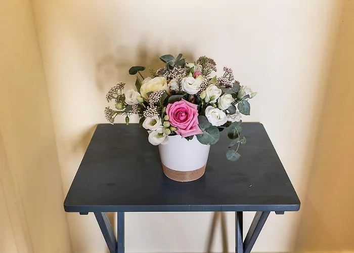 Isophylla Basic * Finale Ligure